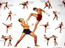 muay thai teknikleri