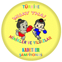 muay thai minikler