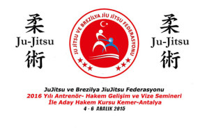 jiujitsu semineri